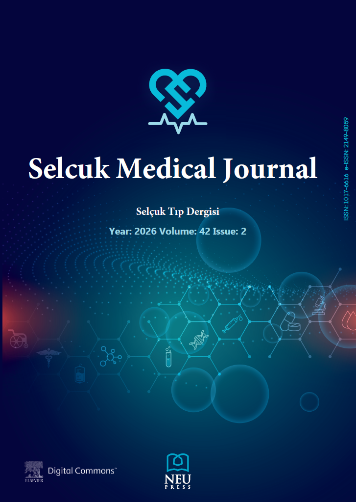 kapak cover