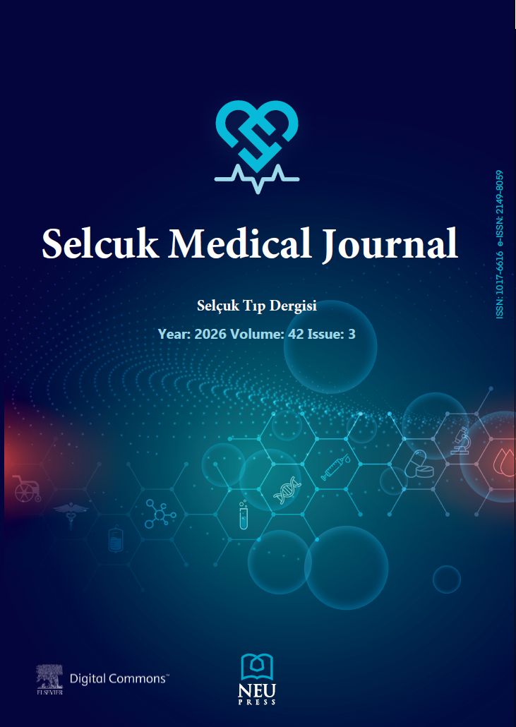 kapak cover